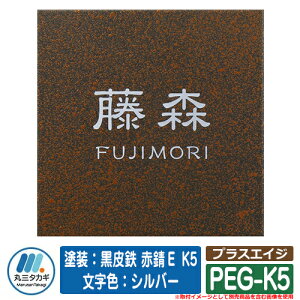 \D  vXGCW PEG-K5 hFS ԎKE K5@FFVo[ CGS IELOGO ێO^JM XeX\D \DV~[VΉ