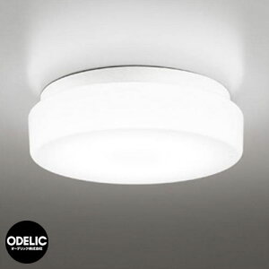 �I�[�f���b�N �|�[�`���C�g OW 269 011WD �����F