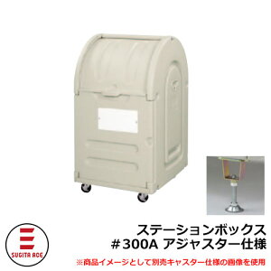 S~ O e  Xe[V{bNX300A AWX^[dl cG[X 515-770