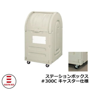 S~ O e  Xe[V{bNX300C LX^[dl cG[X 515-810