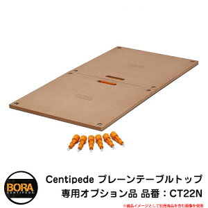 DIY Ƒ ܂肽 yBORA({)z Centipede v[e[ugbv IvVî iԁFCT22N ֗ ^ y RpNg dHANZT[ AEghA e[u 