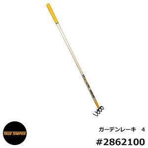 [L F [L F 4 ^2862100 True Temper gD[ep[ AJAi p[L F