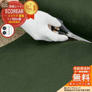 yZ[zhV[g GRA KMBS2500EX-50 Œ莑ޕtEŋ^CviF0.6mmETCYF1.0m×50mj Ӑ΁EE\Ip G΍ Gh~V[g V[g GV[g x
