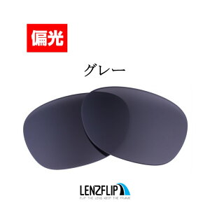 ���C�o�� �j���[�E�F�C�t�@�[���[ Ray-Ban NEW WAYFARER RB2132 Size55mm Polarized Lenses �T���O���X���� �Ό� �����Y