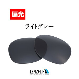 Co j[EFCt@[[ Ray-Ban NEW WAYFARER RB2132F Size55mm Polarized Lenses TOX  ΌYLenzFlipIWiY