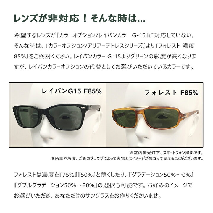 楽天市場】【染色カラーオプション】レイバンカラー G15 フルカラー85 