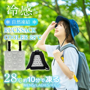 allCool 28PCMbNTbNN[[ MTCY AC-RSC002M-GY Y fB[X jZbNX LbY WjA ʋ ʊw ΍ MǑ΍