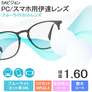 yxȂ / PCp YzSA VISION  1.60 SP UV BLUE GUARD COAT ^Y er p\R X}[gtH u[CgJbg ɒB UVJbg TOX ዾ Kl Y X