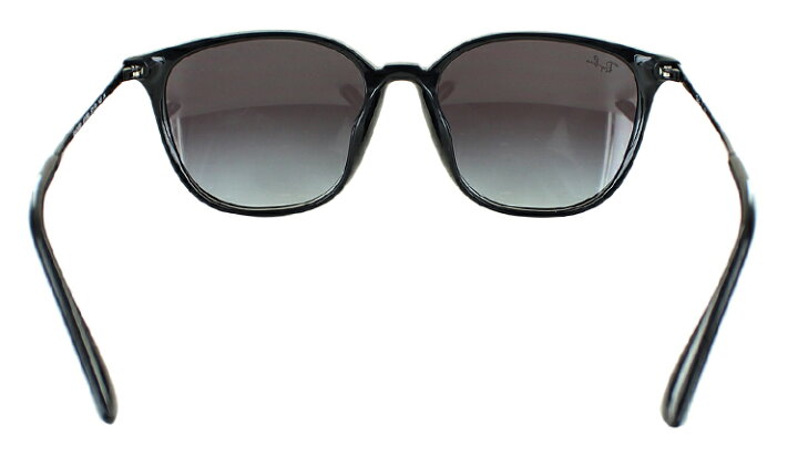 br>Ray Ban レイバン/ローブリッジフィットサングラス/ポリッシュ  