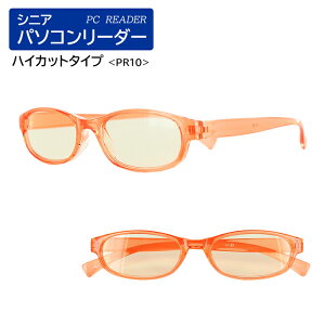 Vዾ u[CgJbg Y fB[X UVJbg XNGA j  PR10 VjAOX `OIő