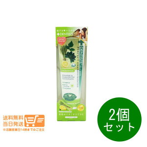 r[100~N[| 2Zbg feBX `[u OX̍ 100g L  a ǐՔz 