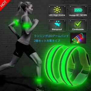 �����j���O���C�g 2�_�Z�b�g �_�Ń��C�g ����p LED 2���C�����ˍ� �A�[���o���h ��� ���X�g�o���h �E�H�[�L���O �[�d��