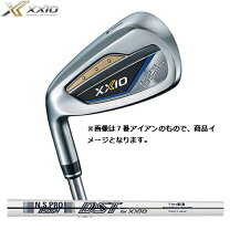 楽天市場】XXIO（利き腕左）（アイアン｜メンズクラブ）：クラブ 