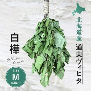 TEiɁIBq^ kCY Bq^  hCBq^ TCY 30cm`40cm hCBq^ Bq^ E EE CTEiI[KjbN egTEi VIHTA ؂̑ 