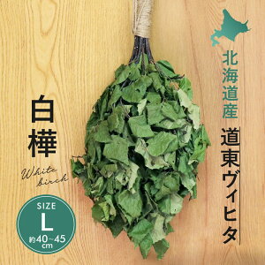 TEiɁIBq^ kCY Bq^  hCBq^ TCY 40cm`45cm hCBq^ Bq^ E EE CTEiI[KjbN egTEi VIHTA ؂̑ 