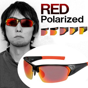 ΌTOX bh~[ 싅 jO }\ St ] ނ AEghA Lv oR TOX Y fB[X RPHK X|[cTOX ΌOX Ό Y b