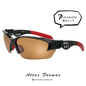 ΌTOX y atf2b UVJbg Ό TOX polalized Y jp TChK[h [ 싅 ] ނ jO St X|[cTOX ]