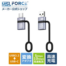 【2本目半額+15%OFF限定クーポン】usb3.1 USB3.2 変換アダプタ 2個セット USB-A Type-C 10Gbps USB データ転送 急速充電 PD 100W 変換 アダプター コンパクト スマートフォン PC 高速転送 充電器 USB機器 ストラップ付属 ua10g-uc0113a 送料無料