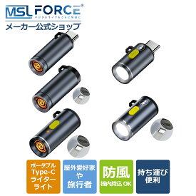 【2本目半額/最大600円OFF限定クーポン】Type-C ポータブル電熱式ライター & 懐中ライト 防風 防滴 充電不要 軽量 コンパクト キャンプ・登山・防災に最適 防風設計で屋外でも安心 FL 適格請求書発行可 送料無料