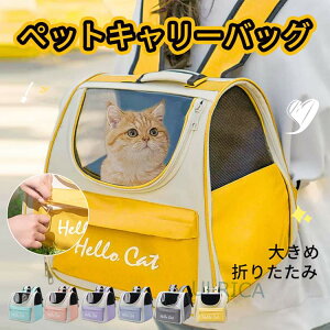 ybgL[obO ܂肽 傫 bN ybgL[ obN ybgobO L[obO Lp p ybgpi ^ ^ g~O h ʉ@ a@ hCu p 