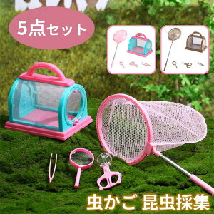 5_Zbg  ̏W ώ@ g勾 ώ@ ߒ qǂ P[X LbY ċx R sZbg nT~^sZbg bV R ώ@Y q 킢 