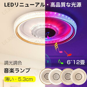 V[OCg }X LED  yv u[gD[X F k 6 8 10 12 Ɩ ȃGl 㕗 V[OƖ VƖ |p _CjO Q a m i