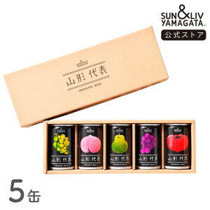 SUN&LIV R`\ l5ʃZbgi񂲖j 160g×5 bW[X Mtg Y   Ε j  킢 Tu R`Hi
