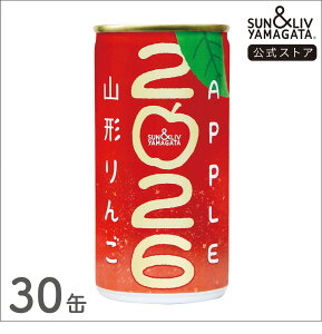 SUN&LIV R`2026ys\bʉib12/23\z 190g×30 bW[X Y   Ε j  킢  Tu R`Hi