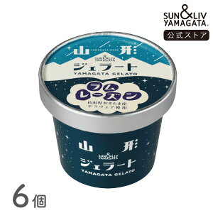 SUN&LIV R`WF[g [Y 6Zbg bACXN[ XC[c Mtg   Ε j  킢 Tu R`Hi