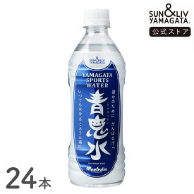 SUN&LIV 青鬼水（アオオニスイ） 500ml×24本 ｜スポーツドリンク 熱中症対策飲料 モンテディオ山形 お取り寄せ お中元 お歳暮 内祝い おしゃれ かわいい 箱買い サン＆リブ 山形食品