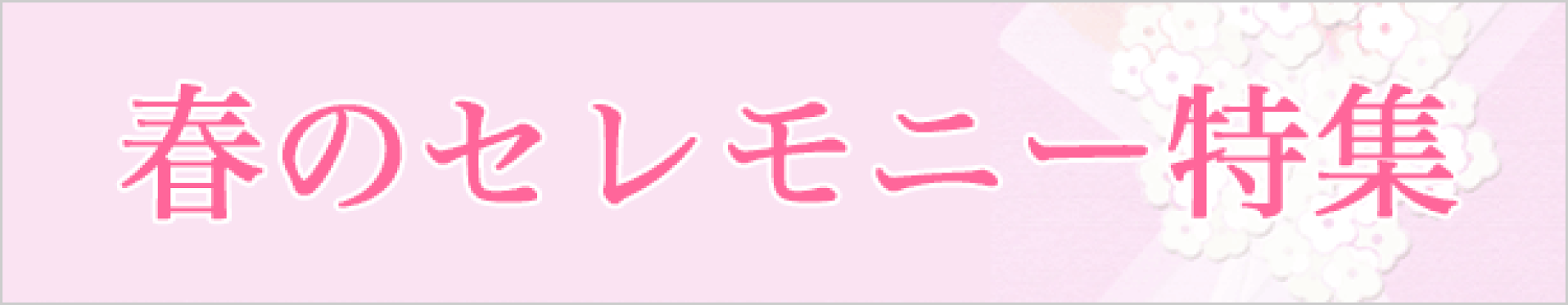 春のセレモニー特集