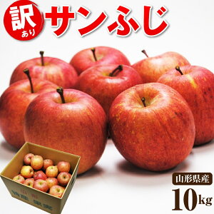 y󂠂zR`Y ㊮nTӂь  10kg Ɩp ol HpR` Tӂ A  S ӂ tW Tӂ R`S TtWS ь 킯 