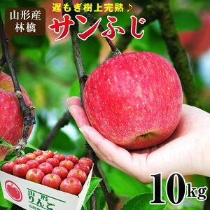 山形県産 遅もぎ収穫樹上完熟サンふじ林檎約10kg(24〜40玉前後)送料無料 林檎、リンゴ、りんご
