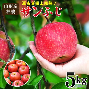 R`Y xn ㊮nTӂь 5kg(12~20ʑO) ь S  ӂ ӂ TtW Tӂ  R`5L R`S R`ʎ R`