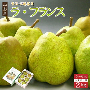 ɂΕɁII EtX 2kg ( 5`6 )ϔyztX  Ε Mtgm  Ȃ R`Y p miV mȂ 2L {̉ʕ t[c R`