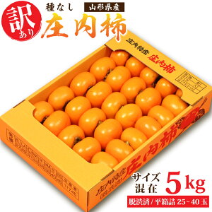 󂠂 R`Y햳`5kgTCY(25~40ʑO)l(Ea) ƒp 󂠂 킯  JL ˂Ȃ` Ȃ` ˂Ȃ` 킯t[c 킯ʕ 