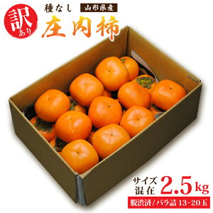 󂠂 R`Y햳` 2.5kg () 󂠂` t[c  ` Ђ炽˂ ˂Ȃ` 햳` Ȃ {TCY(13`20ʑO)ol (Ea) ƒ