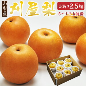  Ȃ iV a  2.5kg󂠂i5`12ʑOj R`YH̖o ƒpyz