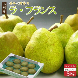 ɂΕɁII EtX 3kg ( 9`10 )ϔyz tX Ε Mtg m miV mȂ m  Ȃ  R`Y p 3L {̉ʕ t