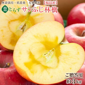 Y tƂ炸 ӂ Tӂь p  3kg (7`11ʁj Gi yzS  Tӂ  Tӂ ь TtW  Tӂ 胊S T