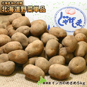 北海道産 新じゃがいもインカのめざめ（約5kg）2S〜2Lサイズ北海道 秋の収穫祭単品じゃがいも、ジャガイモ、芋、イモ、メークイン