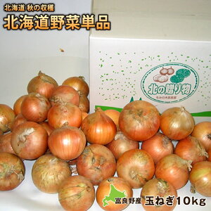 kCY Vʂ˂i10kgjkC H̎nՒPi^}lMA܂˂