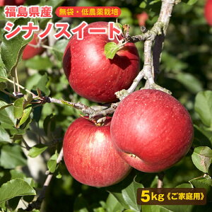 YVimXC[g ƒp5kg(~ 12~16)yz󂠂 VimXC[g ь S  S MZXC[gVimXB[g VimXC[g󂠂 󂠂 