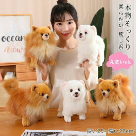 ぬいぐるみ ポメラニアン 犬 リアル 本物そっくり 生々しい いぬ 抱き枕 イヌの置物 動物 ふわふわ 柔らかい 癒し系 部屋 インテリア 誕
