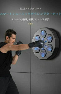 パンチング マシン 家庭用 ダイエット ボクサー パンチングボール パンチングマシーン サンド グローブ付 高さ調節 スタンド トレーニン