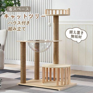 Lbgc[ u ؐ X ^ W] nEXt FD L^[ VjA C ^s  L gݗ