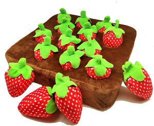 �j���W�������̂ʂ�����݁A�y�b�g�̊��ݐl�`�A�ʕ����ؔ��̃L�m�R���A�q���̑�������