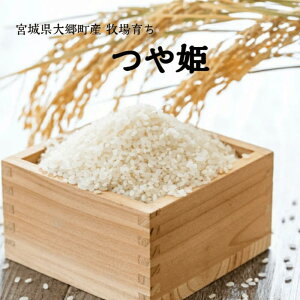  ߘa7NY V _EL@엿gp {錧Y P 5kg 10kg   erq