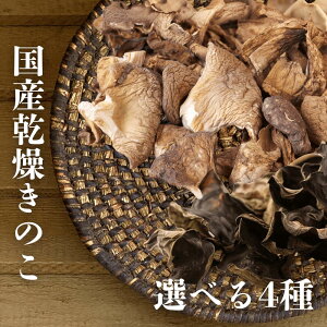 yX[p[SALE10%OFFIzI ؘR_ Y ̂@Iׂ4@LNQEёEq}q^P {Y@煓@؁@pX^