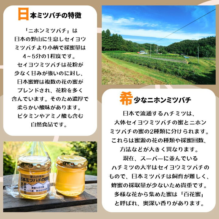 楽天市場】2本以上で送料無料【数量限定！】 日本ミツバチ はちみつ 